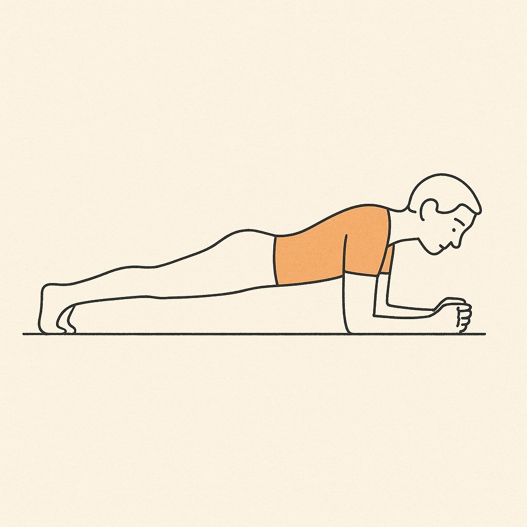 Gainage en planche sur les avant-bras, illustration croquis