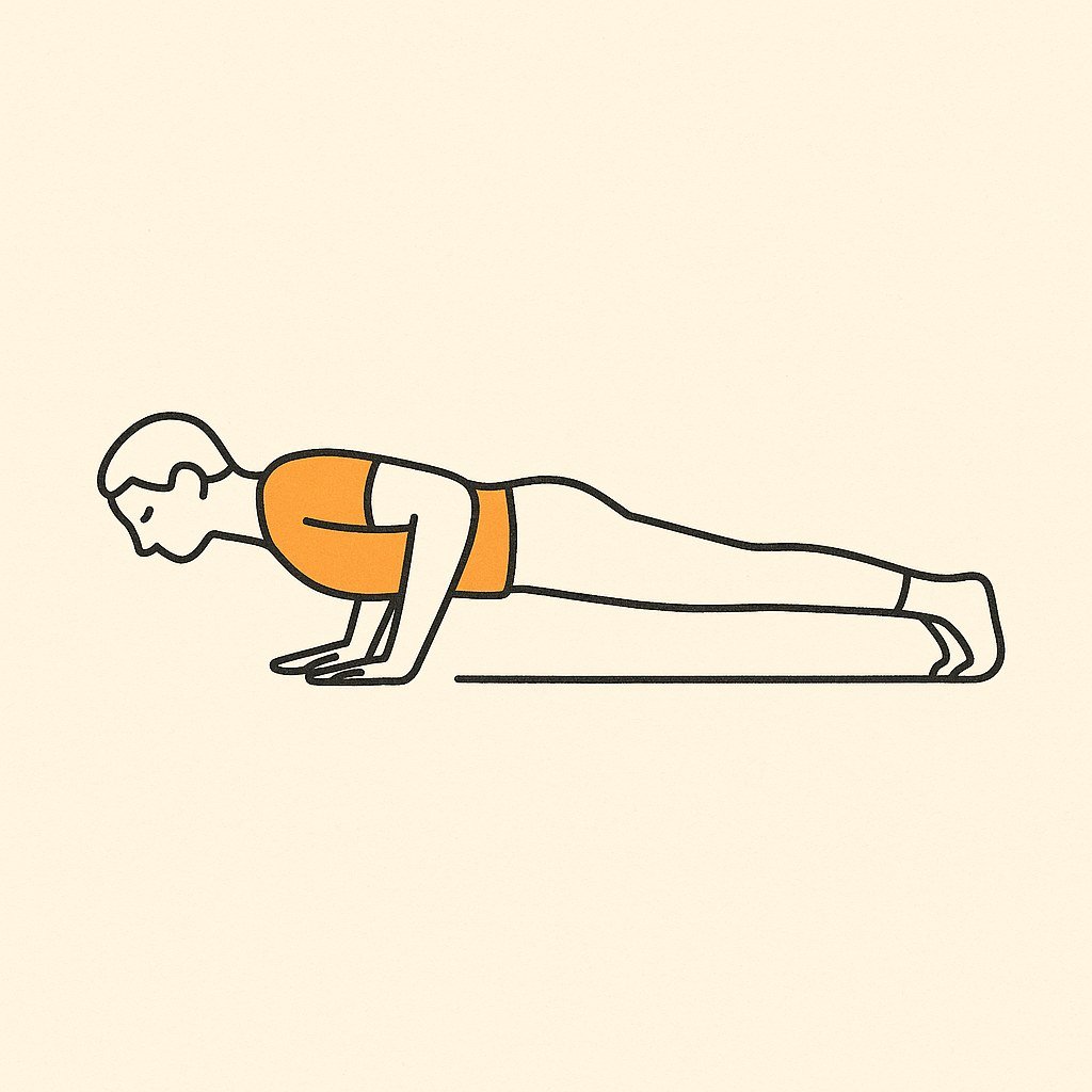 Pompe (push-up), illustration croquis